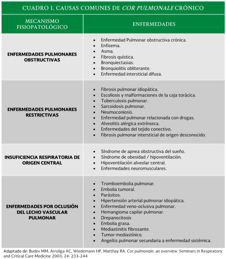 2. Etiología 1 - GPC-IMSS-036